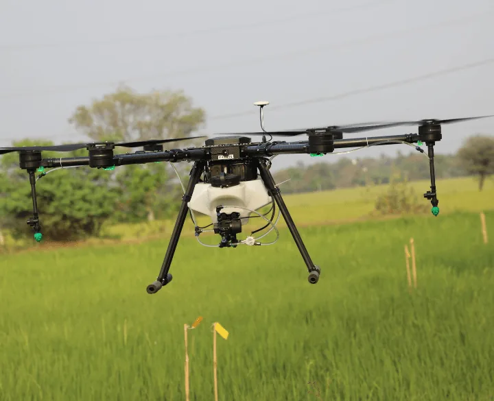 Agricultural multirotor drone hovering low over a green paddy field