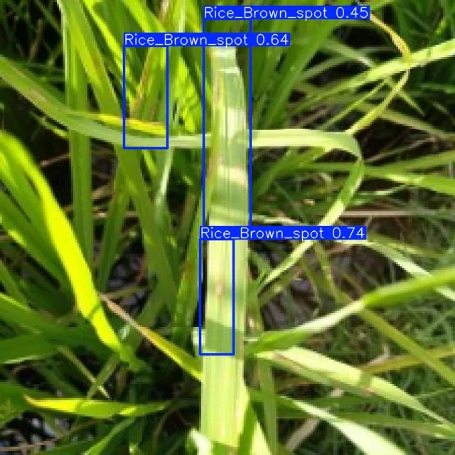 AI detection of rice brown-spot disease on crop leaves with labelled bounding boxes