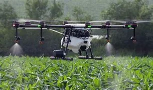 Crop-spraying drone applying treatment over a young corn field