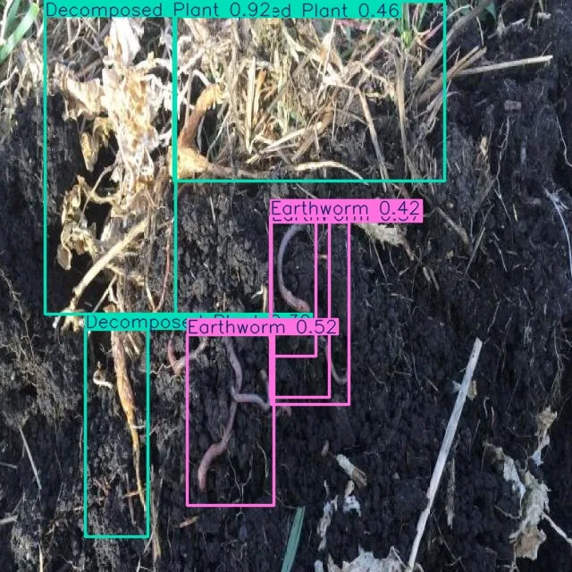 Soil-health vision analysis detecting earthworms and decomposed plant matter in field soil